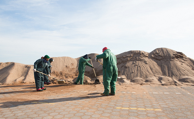 DOL-funded Cleanup workers at Midland Beach