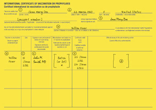 Example International Certificate of Vaccination or Prophylaxis (ICVP)