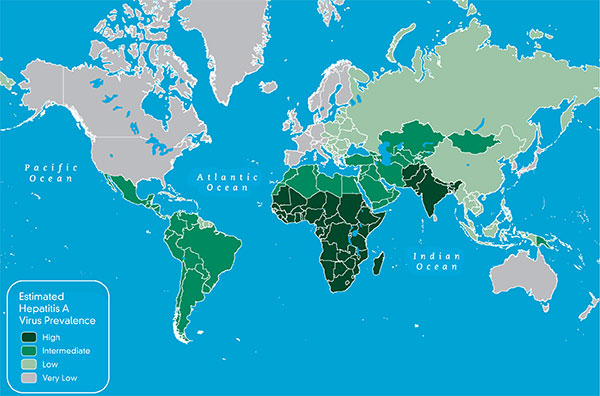 Map 3-3 Estimated prevalence of hepatitis A virus