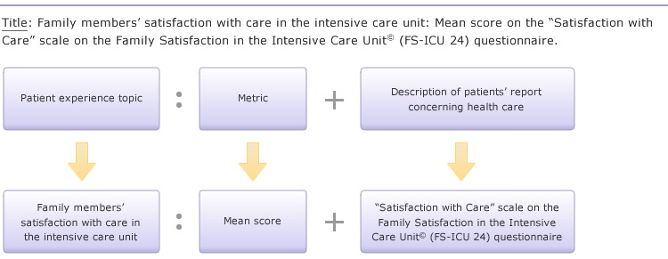 Family members' satisfaction with care in the intensive care unit: mean score on the 