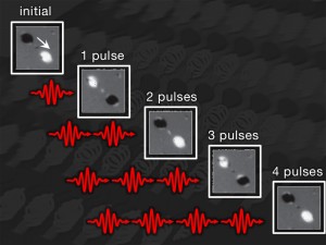 Experimental images showing the repeated deterministic switching of nano islands. Initially the two nano islands have different magnetic orientation (black and white respectively). (Photo: Johan Mentink and Alexey Kimel, Radboud University Nijmegen; Richard Evans, University of York)