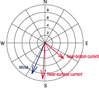 Mean wind (in m/s) and currents (in cm/s) measured near the future outfall site during strong storms that resuspend and transport bottom sediments.