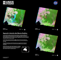 Regrowth in Australia after Massive Bushfires