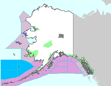 This image displays watches, warnings, statements and advisories issued by the National Weather Service