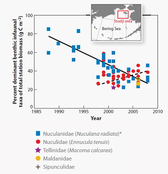 Example of change in infaunal benthos on Arctic shelves