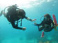 Scientists Dusty Kemp and Meredith Meyers under water in the Florida Keys.