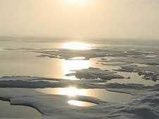 Arctic sea ice