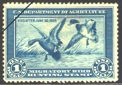 Duck Stamp