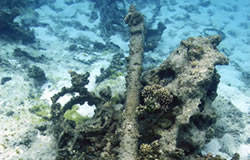 Artifacts associated with the bow section of the whaling ship Parker.