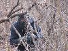 Soldier with Company C, 701st Brigade Support Battalion, 4th Infantry Brigade Combat Team, 1st Infantry Division, conceals himself during a paintball event, one of many activities offered through the Warrior Adventure Quest program. (Courtesy photo)