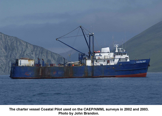 AFSC killer whale research photo