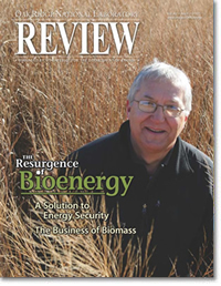 The Resurgence of Bioenergy