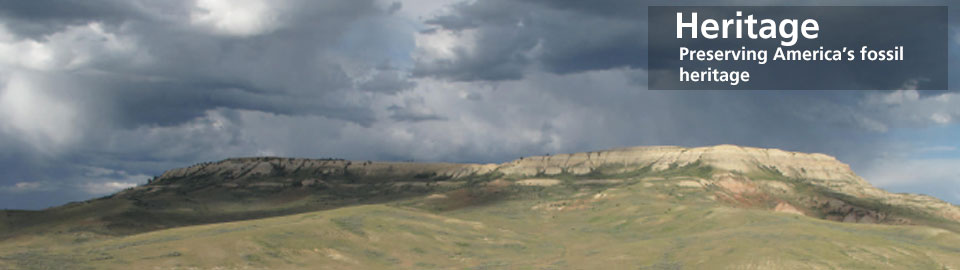 Fossil Butte NM