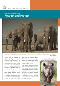 مكافحة الاتجار بالحياة البرية: احترامها وحمايتها