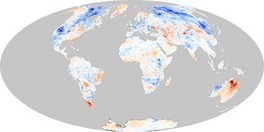 Land Surface Temperature Anomaly