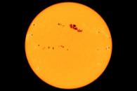 Sunspots and the Solar Max