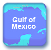 Gulf of Mexico Data Atlas