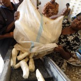 People processing cassava