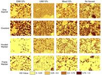 [image:] Habitat suitability at year 200 for four wildlife species under four forest management scenarios on a 2835 ha subset of the 71,142 ha landscape for which we simulated landscape change. Habitat suitability ranges from 0 to 1 with 1 being optimal habitat. Individual pixels are 30 m by 30 m (0.09ha).  EAM and UAM indicate even-aged and uneven-aged management, respectively; mixed indicates a combination of the two.  Percentages indicate the proportion of the landscape treated per decade.  Such maps and their digital counterparts can be created for each decade of a modeled scenario.