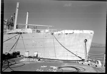 Starboard Side Bow View