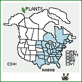 Distribution of Amphicarpaea bracteata (L.) Fernald var. bracteata. . 