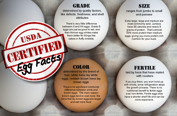 Click to view the full version of our Certified Egg Facts infographic.