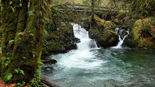 Falls Creek Falls, Courtesy Larry Workman-QIN.