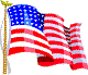 USA Flag