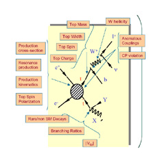 Linear Collider