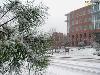 Snowy scene across Centennial Campus