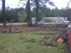 Tree trunk on right was broken off the standing trunk at the far left. Note that the broken trunk was rotated as it fell - Click to enlarge