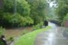 View of the Crabtree Creek looking southeast toward a bridge used by the Raleigh Greenway system - Click to enlarge