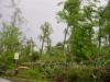 Stokedale Tornado damge photo - Click to enlarge