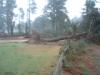 Tornado damage photo from Moore County - Click to enlarge