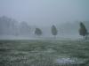 Hail falling and covering the ground produces a wintry scene on May 14, 2006 in Browns Summit (northeastern Guilford County). Picture courtesy of  Phil Owen - Click to enlarge