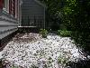 Hail nearly covers the ground in this picture from northwestern Greensboro. Picture courtesy of Steve Marks - Click to enlarge