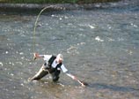 photo: fly fishing - Provo River, Utah