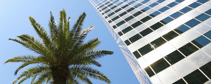 Photo of palm trees and Los Angeles skyscrapers.