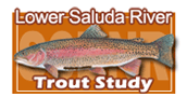 Lower Saluda River Trout Study