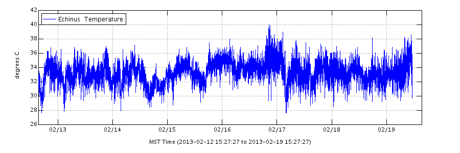 Weekly 
water temperature for Echinus Geyser