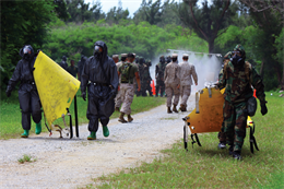 Marines with the 31st Marine Expeditionary Unit perform mass-casualty decontamination training at Kin Blue Beach training area July 11. The training was conducted to ensure the 31st MEU is ready to respond to potential chemical, biological, radiological and nuclear threats in the Asia-Pacific region. The Marines taking part in the training are with Combat Logistics Regiment 31 and the command element of the 31st MEU, III Marine Expeditionary Force. 
