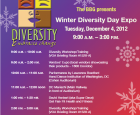 DiversityFlier