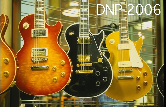 DNP 2006