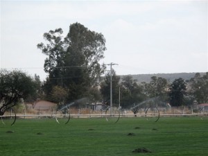 Field showing wheel irrigation technology in Mexico
