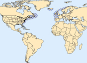 North Atlantic right whale range map