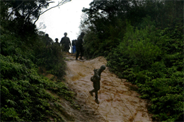 Marines with Battery B, 12th Marine Regiment, 3rd Marine Division, III Marine Expeditionary Force, perform a hasty repel technique to descend a hill during jungle survival skills training at the Jungle Warfare Training Center, Oct. 21. The artillery trained Marines became familiar with jungle survival skills by learning how to gather their own food, making fire from scratch, land navigation, combat patrolling, building an expedient shelter, and repelling.