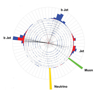 This proton-antiproton collision, recorded by the DZero collaboration, is among the single top quark candidate events