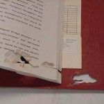 Insect damage of a library book