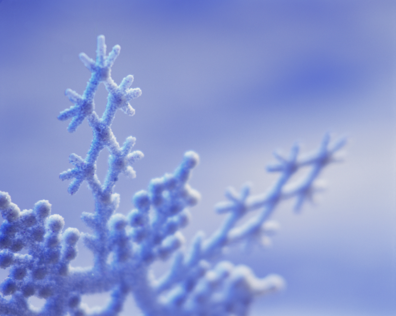 Image of snowflake