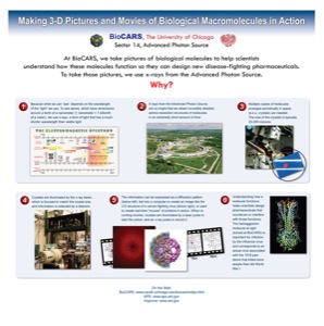  Biological Macromolecules in Action 